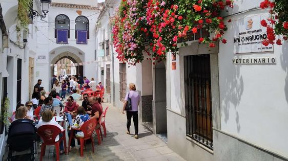 La Humildad y Paciencia celebró su VIII Velada Cruz de Mayo en el Arco Jerez