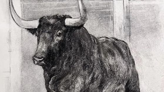 El XVI Symposium del Toro de Lidia cumple en 2023 sus 30 años