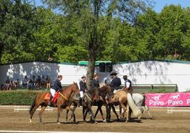 Los alumnos durante la exhibición