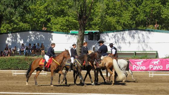 Los alumnos de la escuela de equitación Ancapedro dieron todo un espectáculo en el carrusel ecuestre