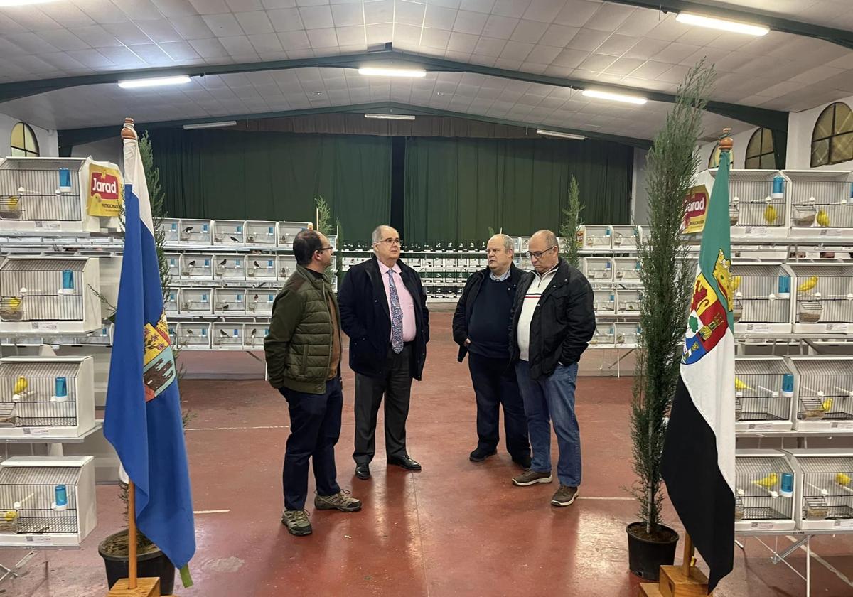 El XXVI Concurso Ornitológico-Exposición 'Ciudad de Zafra' reúne a más de 1200 canarios en la Caseta Municipal