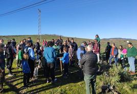 Los participantes en la plantación de árboles