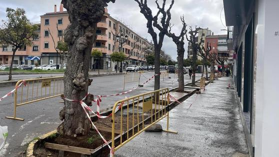 El Ayuntamiento realiza distintas actuaciones de mejora en diferentes puntos