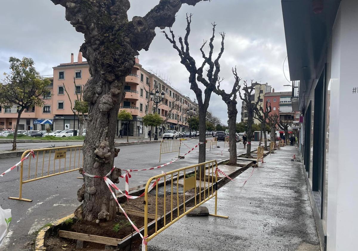 El Ayuntamiento realiza distintas actuaciones de mejora en diferentes puntos