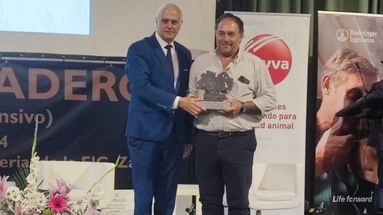 Dionisio Nieto, de Valencia de Alcántara, premio Mesto al mejor ganadero del año