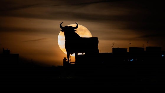 El fotógrafo Daniel Gragera vuelve a ser premiado en un concurso nacional de fotografía