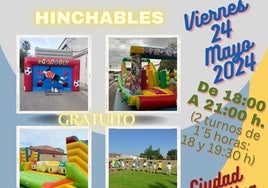 Cartel de la actividad