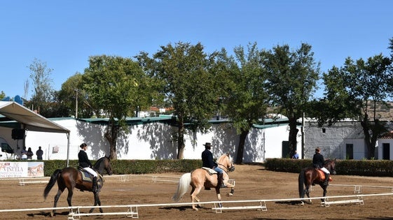 Unos 20 jinetes participarán en el Carrusel Ecuestre de la preferia