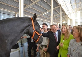 El ministro y la presidenta de la Junta en la nave de caballos