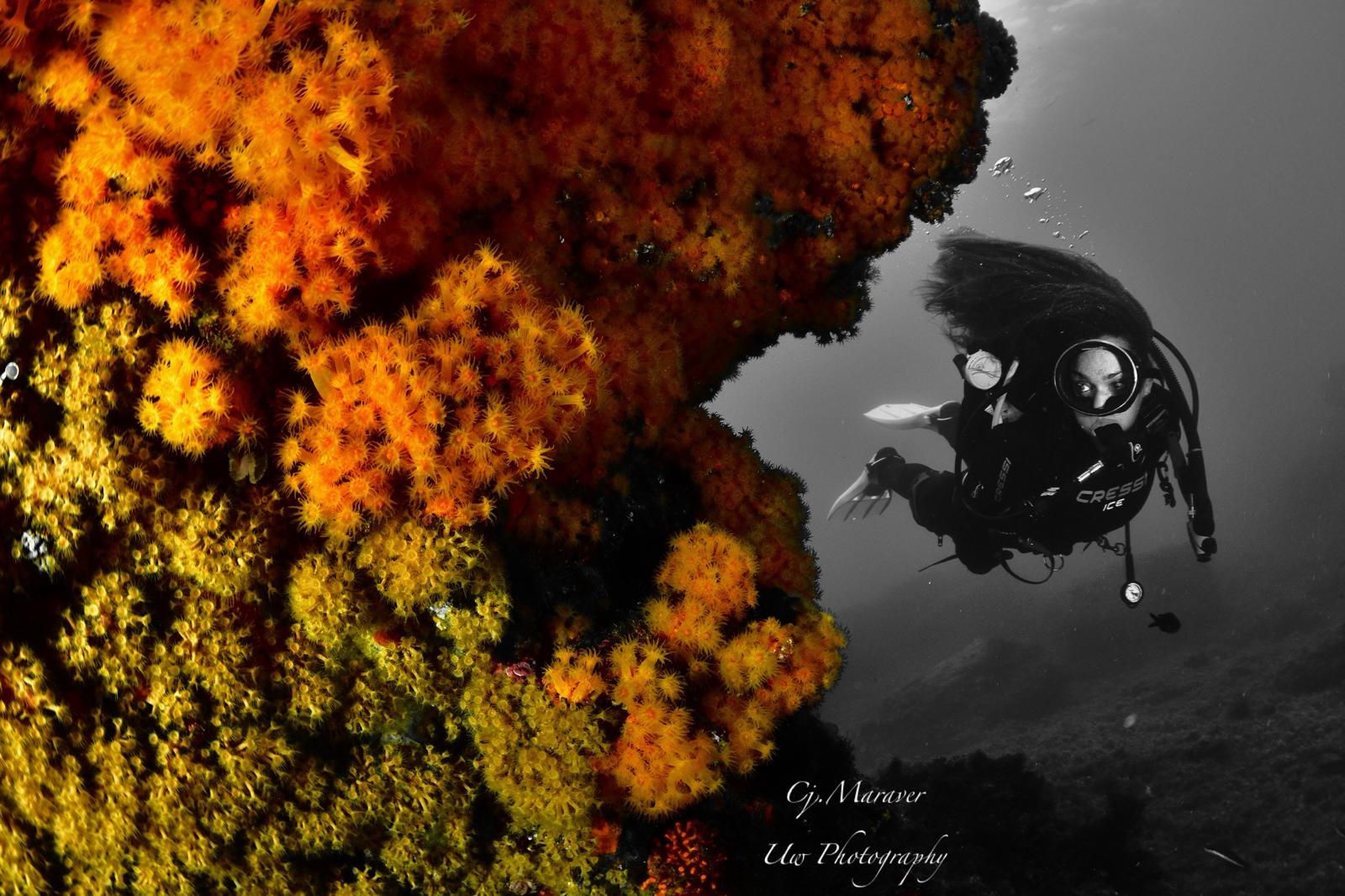 Mejor fotografía de ambiente con modelo y premio a la mejor modelo