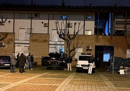 Los efectivos policiales y judiciales trabajan en el lugar de los hechos