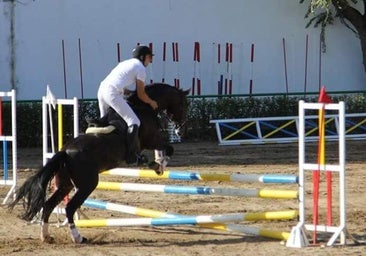 Más de 30 jinetes participan este fin de semana en el concurso hípico de salto de obstáculos