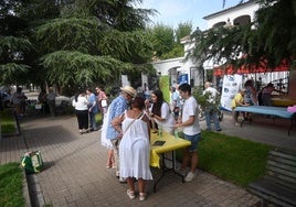 Celebración de las distintas actividades