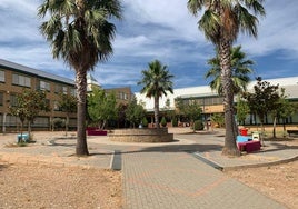 Instituto Cristo del Rosario