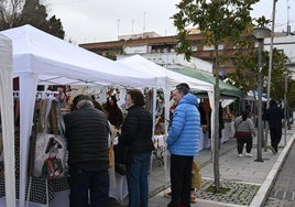 Puestos instalados con motivo del Merkajoven