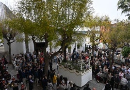 Salida de La Borriquita en 2025