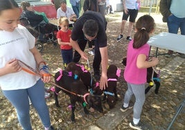 Los niños y los borreguitos protagonistas del Aleluya