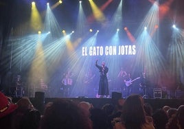 Concierto del Gato con Jotas