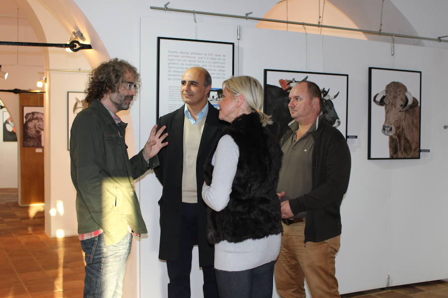 Acto de inauguración 