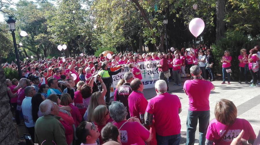 III Caminata Solidaria 