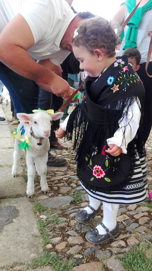 EL XXIV Concurso y Certamen Tradicional de La Aleluya congrega a 26 niños y niñas con sus corderos