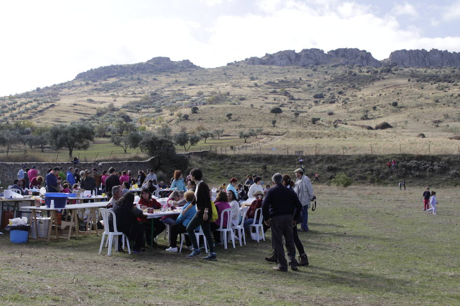 Actividad anterior de Zafra en Verde 