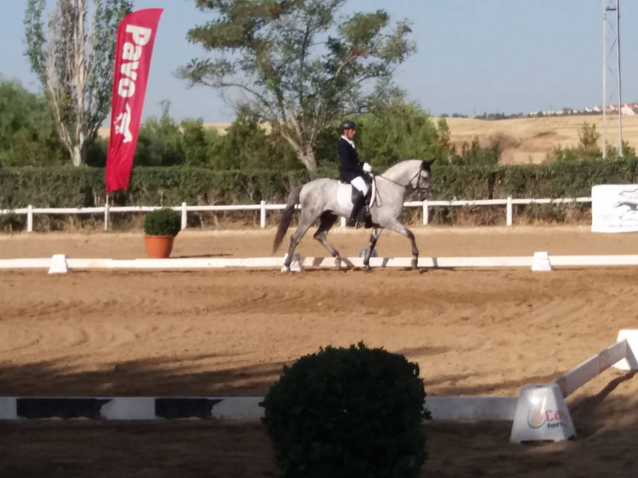 Medalla de oro y plata en el Campeonato de Extremadura de Doma clásica