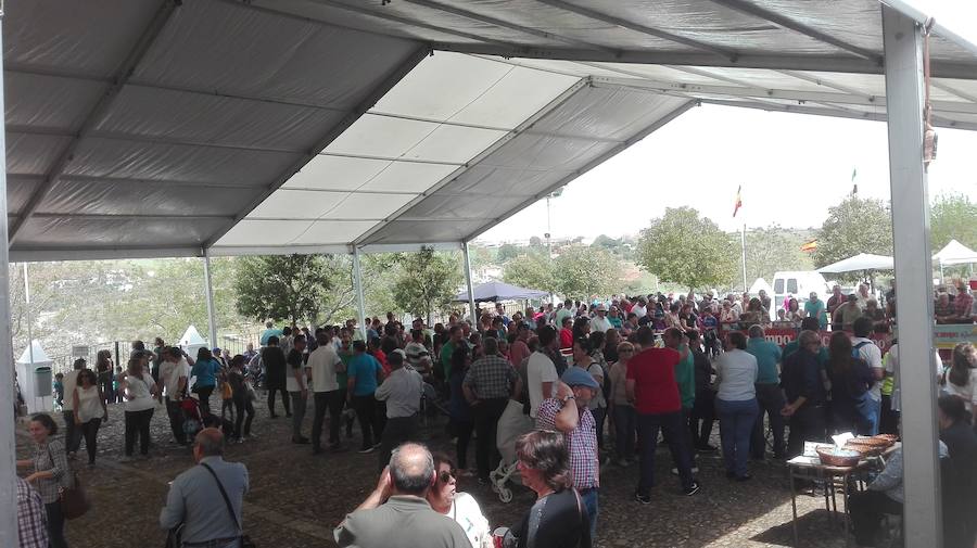 La Aleluya de Zafra congrega a pequeños pastores y sus corderos