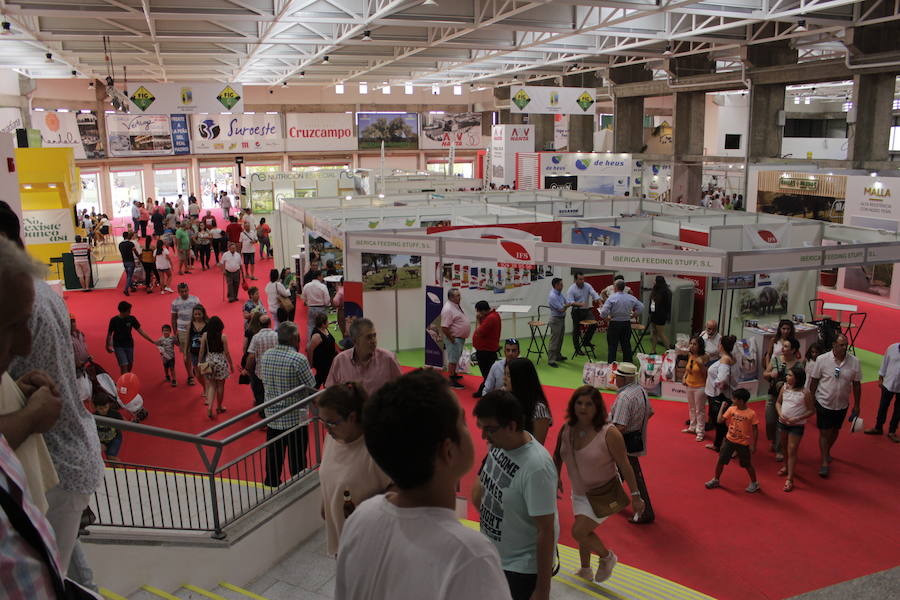 Interior del nuevo pabellón 