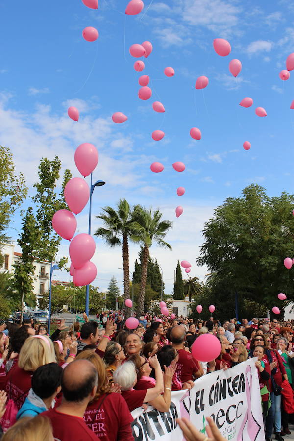 Más de 1.200 personas marchan en la V Caminata contra el cáncer de mama