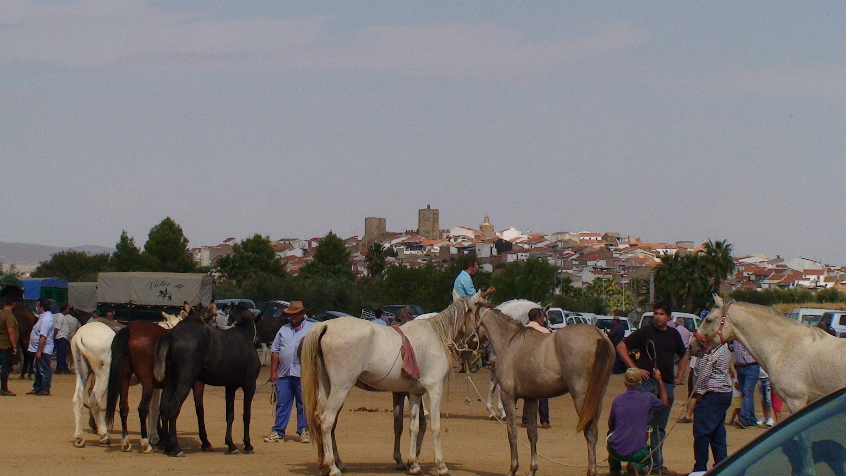 El tradicional rodeo en la Peña Legua 