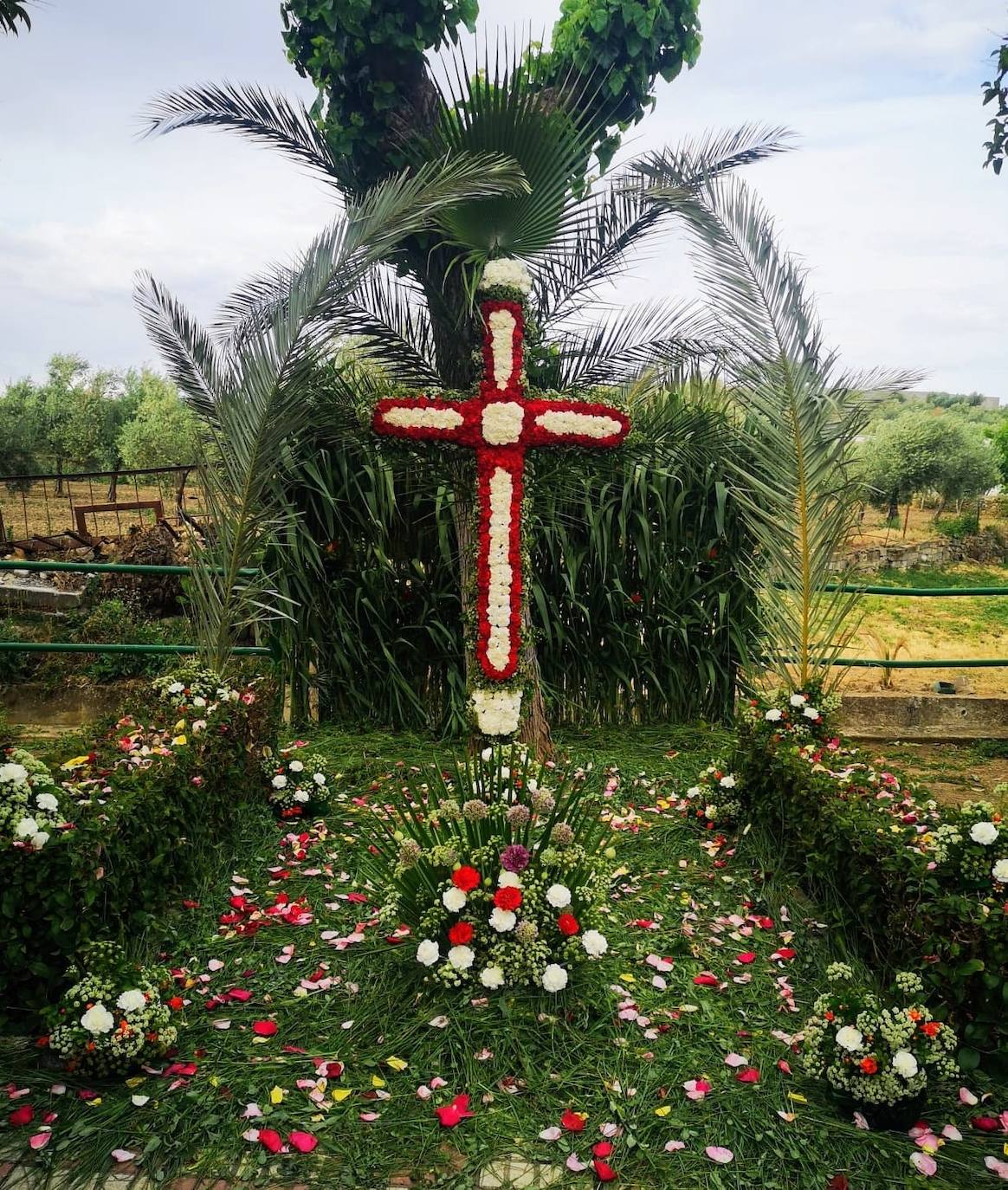 Imagen secundaria 1 - Cruz de Mayo ganadora.