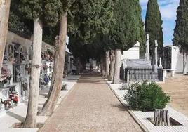Cementerio municipal de Zalamea de la Serena.