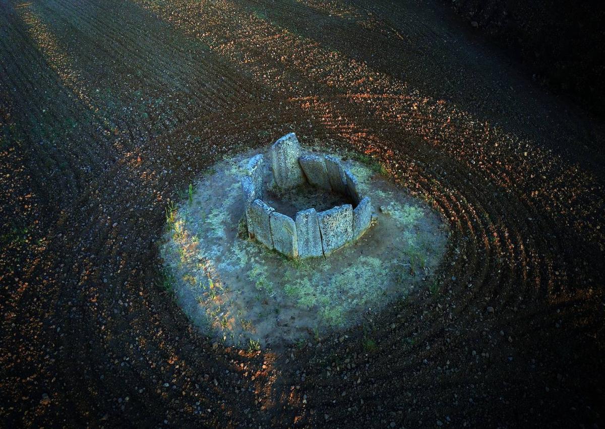 Imagen secundaria 1 - Segundo premio.