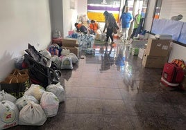 Parte de la ayuda recogida.