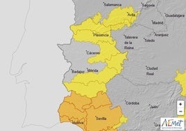 Avisos activos para el 14 de noviembre.