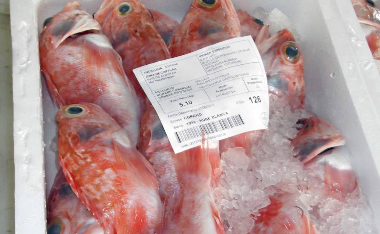 Pescado a domicilio en Berja