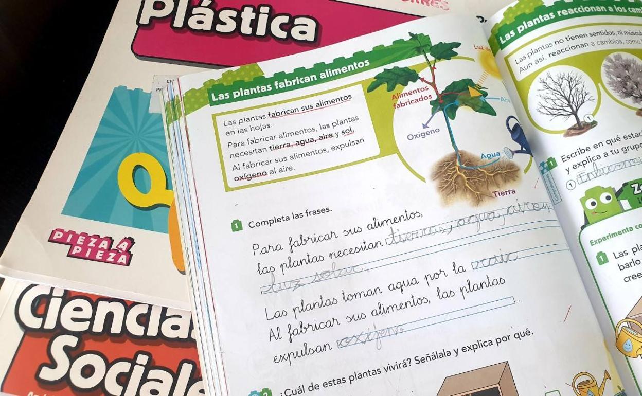Berja estudia el reparto de los libros escolares para abordar el último trimestre desde casa