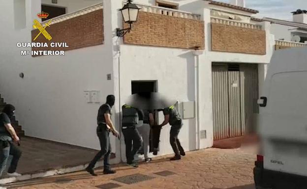 Imágenes de la entrada de los agentes de Guardia Civil en las plantaciones 'in door'. 