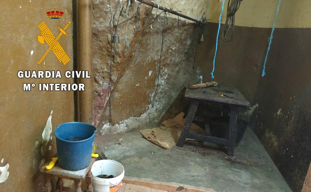 Sucesos en Almería | Tres investigados tras hallar un matadero clandestino en Berja