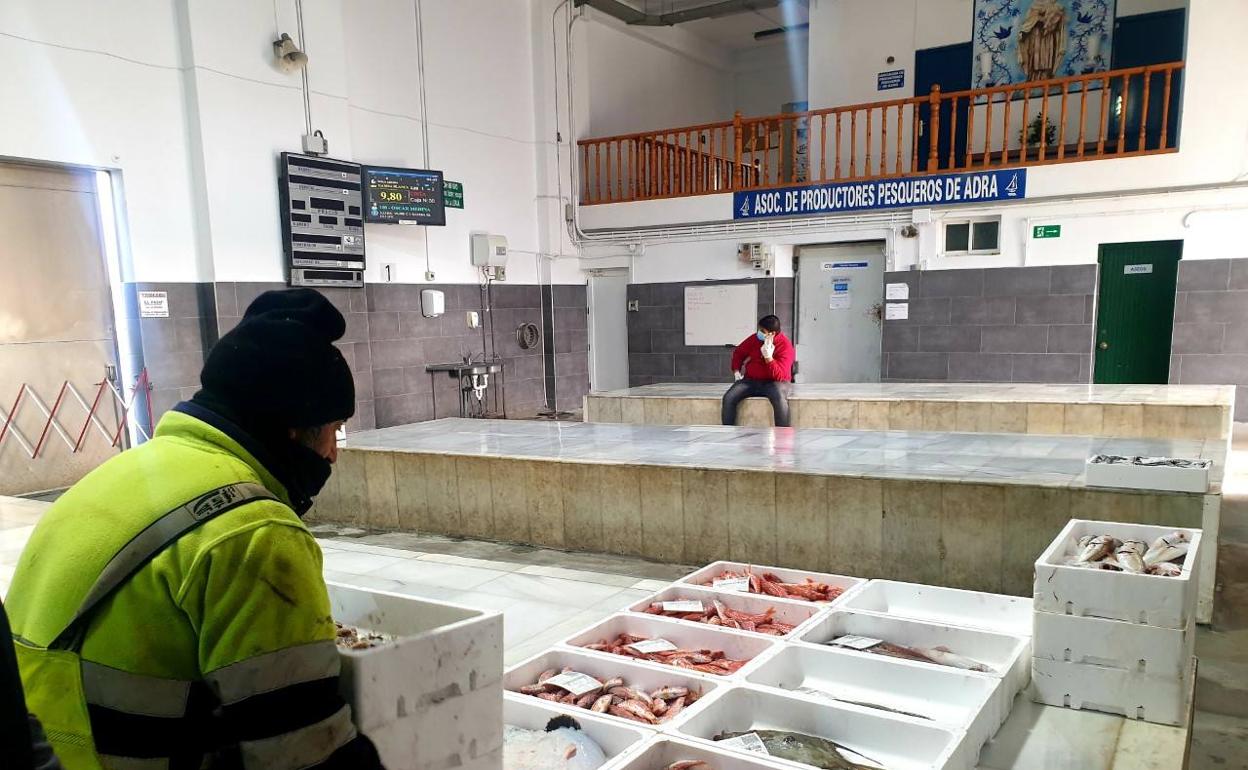 La Asociación de Productores Pesqueros gestiona la lonja de Adra desde el año 2001.