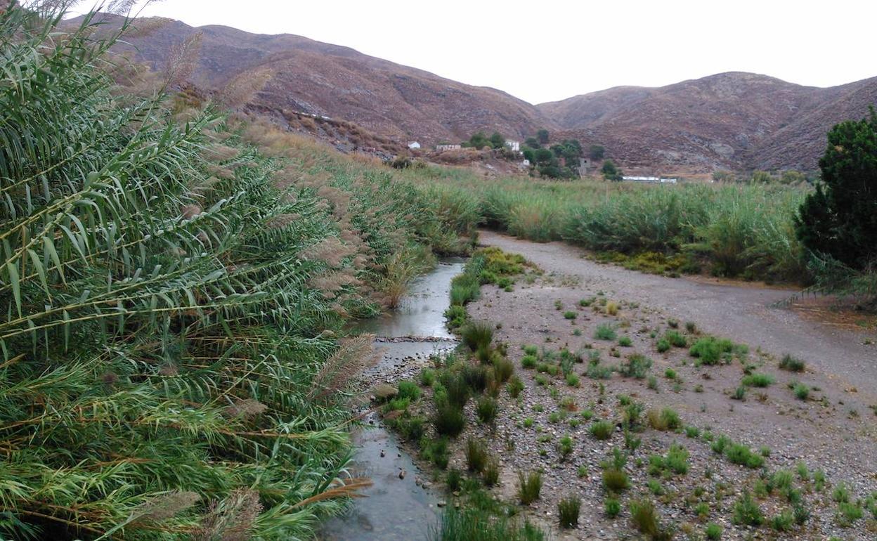 El Gobierno comienza este mes a redactar el proyecto para encauzar el río Adra