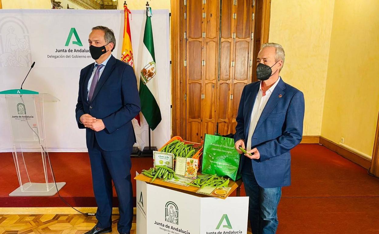 Dalías concentra en 20 hectáreas el cultivo de présules y tirabeques