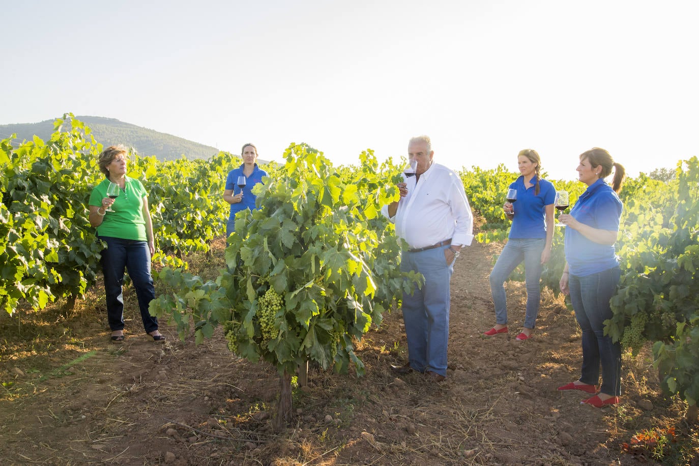 Los viñedos de Cepa Bosquet están en Laujar de Andarax.
