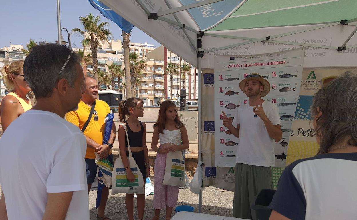 Campaña a pie de playa en Adra. 