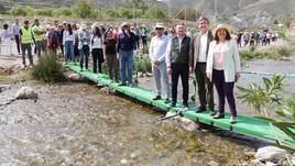 La Junta «rescata» 700 álamos del río Adra