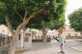 Operarios municipales llevan a cabo un plan de limpieza y desinfección «intensivo»
