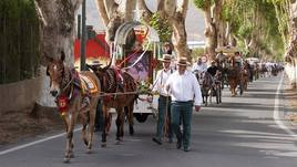 Los caballos serán protagonistas en Benejí