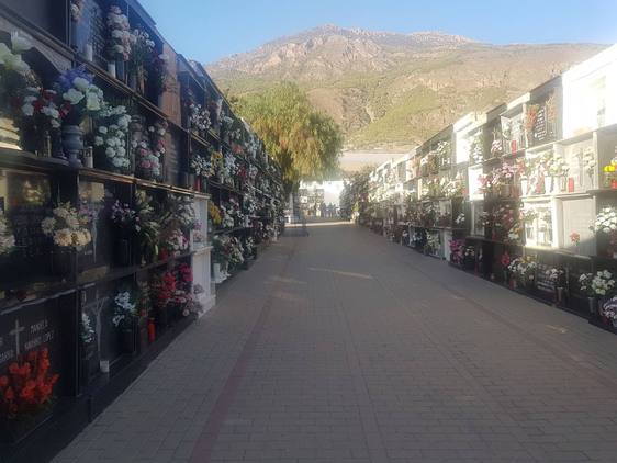Dalías embellece su cementerio con motivo del Día de Todos los Santos