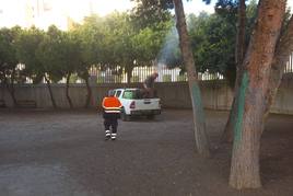 Adra combate la procesionaria